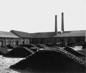 FVA
