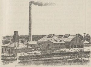 FVA