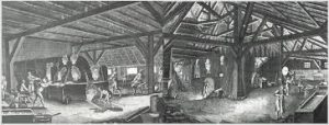 FVA