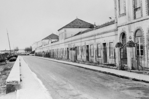 FVA